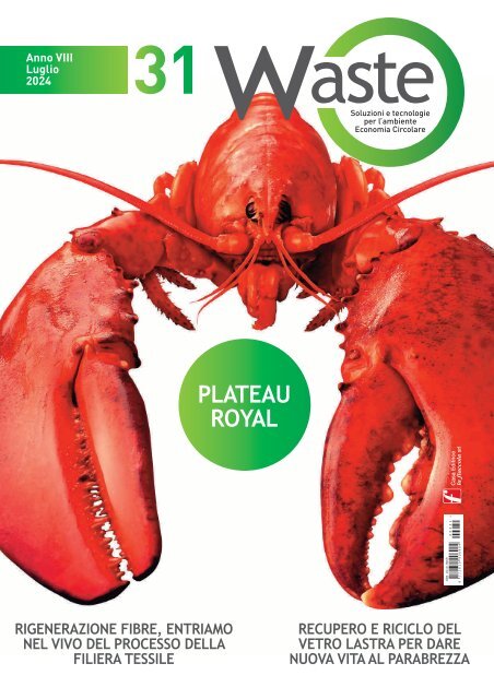 Waste n. 31 luglio 2024