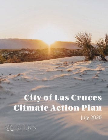 FINAL_LC+Climate+Action+Plan+Report_07162020