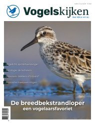 Vogelskijken magazine editie 3 - 2024 inkijkexemplaar