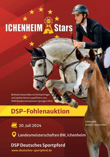 Ichenheim Stars - DSP Fohlenauktion am 20. Juli 2024