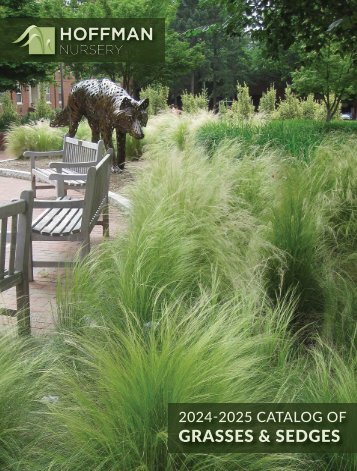 2024-2025-Hoffman-Nursery-Grass-Catalog