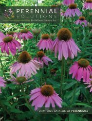2024-2025-Hoffman-Nursery-Perennial-Solutions-Catalog