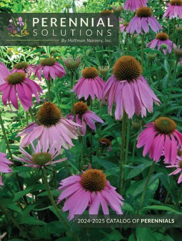 2024-2025-Hoffman-Nursery-Perennial-Solutions-Catalog