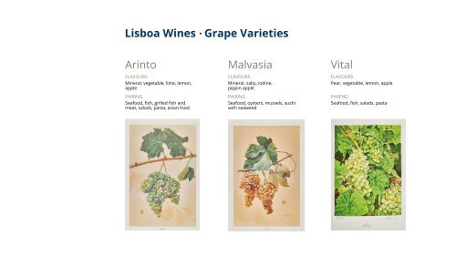 Wine Tasting National Geographic Sunday Session 2