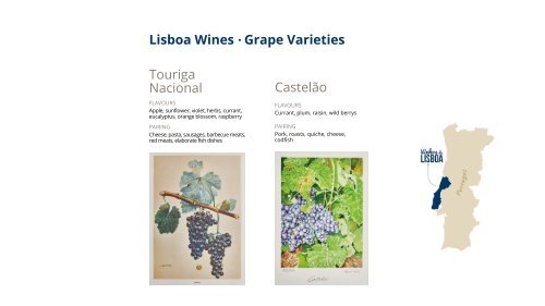 Wine Tasting National Geographic Sunday Session 2