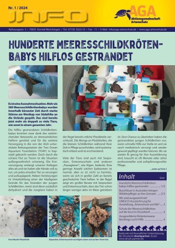 Hunderte Meeresschildkrötenbabys hilflos gestrandet
