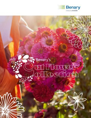 Benary’s Cut Flower Collection