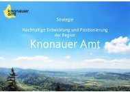 Strategie Region Knonauer Amt 