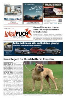 2024-07-27_Lokalfuchs