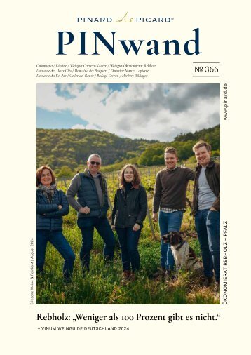 PINwand 366
