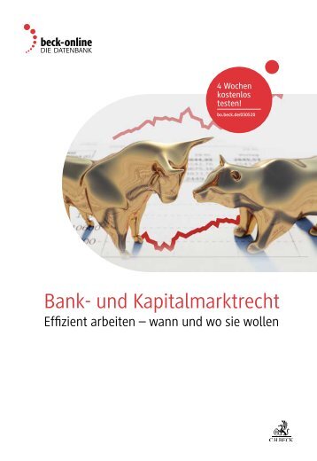 Bank und Kapitalmarktrecht