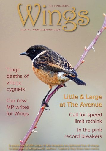 Wings Issue 161 August/September 2024