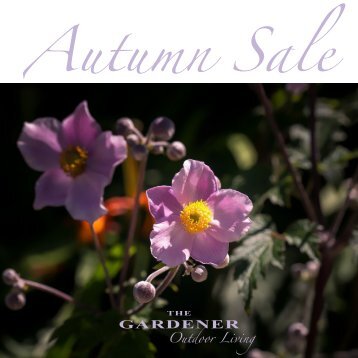 Gardener`s Autumn SALE 2024