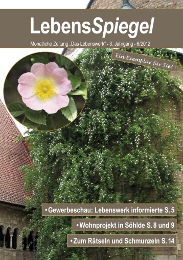 LebensSpiegel 2012/06 - daslebenswerk.de