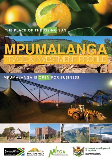 Mpumalanga Trade and Investment Profile