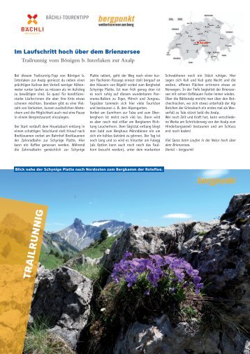 Tourentipp 09.2024 - Im Laufschritt hoch über dem Brienzersee