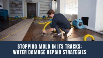 Stopping Mold in Its Tracks: Water Damage Repair Strategies