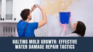 Halting Mold Growth: Effective Water Damage Repair Tactics