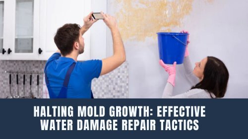 Halting Mold Growth: Effective Water Damage Repair Tactics