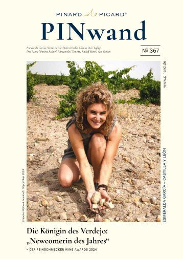 PINwand 367