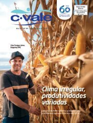 Relatório Anual 2019 - C.Vale