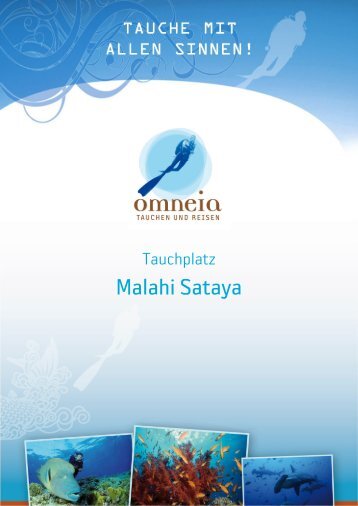 Malahi Sataya - Omneia