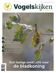 Vogelskijken magazine editie 4 - 2024 inkijkexemplaar
