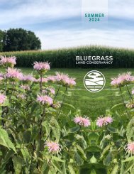 2024 Summer Newsletter