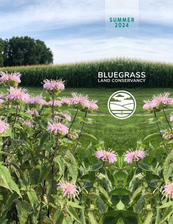 2024 Summer Newsletter