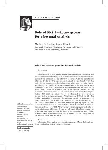 Role of RNA backbone groups for ribosomal catalysis