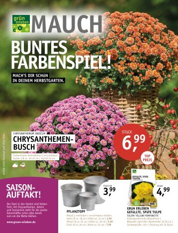 Mauch - Buntes Farbenspiel 2024