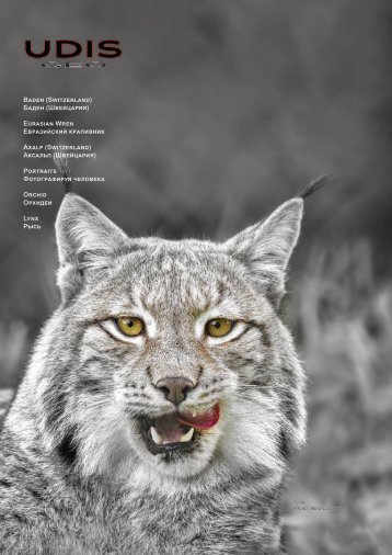 Preview: UDISGeo October 2024 Nr. 12