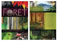 Expo-foret