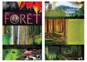 Expo-foret