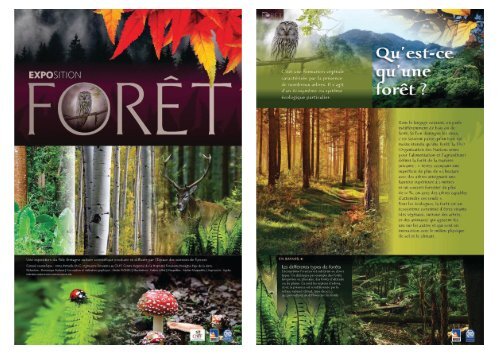 Expo-foret
