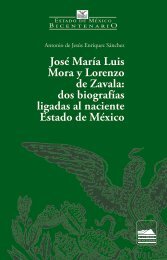 Estado de México - Bicentenario 8