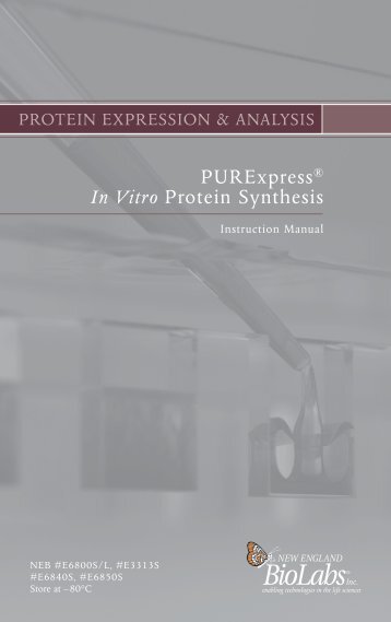 PURExpress In Vitro Protein Synthesis Kit - New England Biolabs