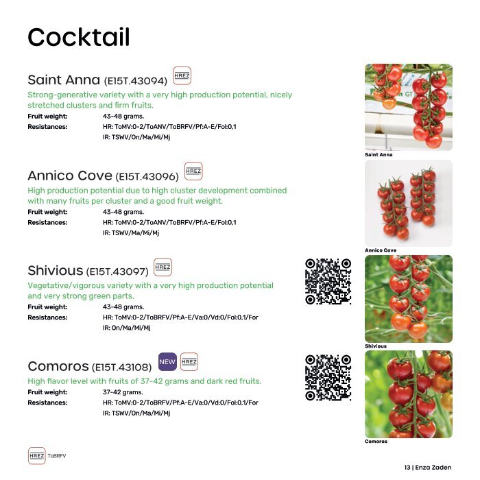 1-tomato-catalogue-weu-2024.