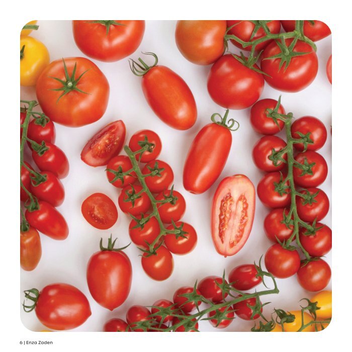 tomato  Tomato, Sunpeach Hybrid , Cherry/Grape Tomato Seeds: Totally
