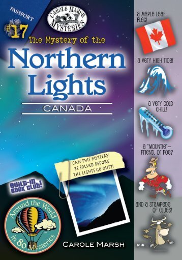 The Mystery of the Northern Lights