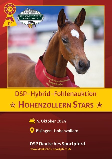 E-Paper Auktionskatalog Bisingen-Hohenzollern