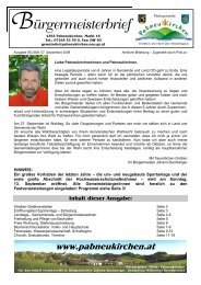 Bürgermeisterbrief 6-2009 (1,55 MB) - Pabneukirchen