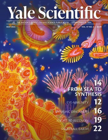 YSM Issue 97.2
