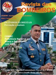 Revista dos Bombeiros