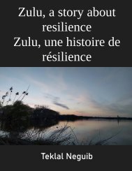 Zulu a story of resilience by Teklal Neguib