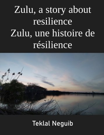 Zulu a story of resilience by Teklal Neguib