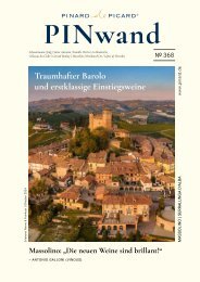 PINwand 368