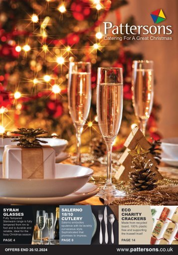 Christmas Promo Flyer 2024 