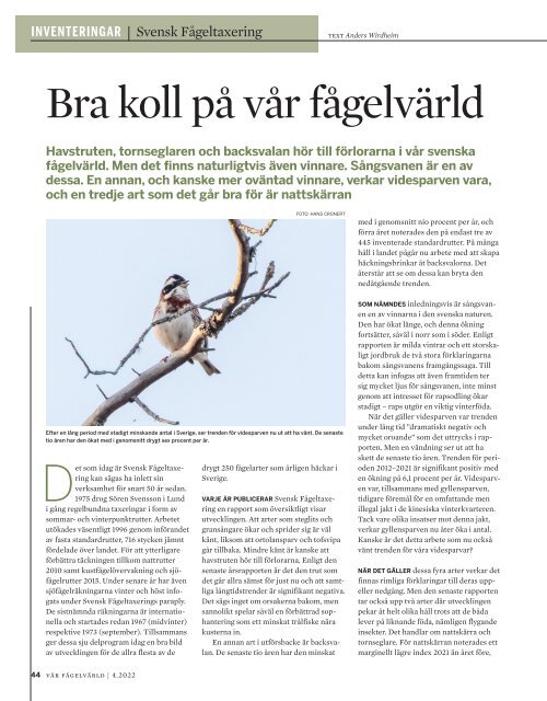 Vår Fågelvärld – Bra koll på vår fågelvärld (2022-4)