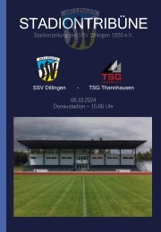 STADIONTRIBÜNE - AKTUELLE NEWS ZU DEN KREISLIGA-HEIMSPIELEN DER SSV DILLINGEN IM DONAUSTADION!